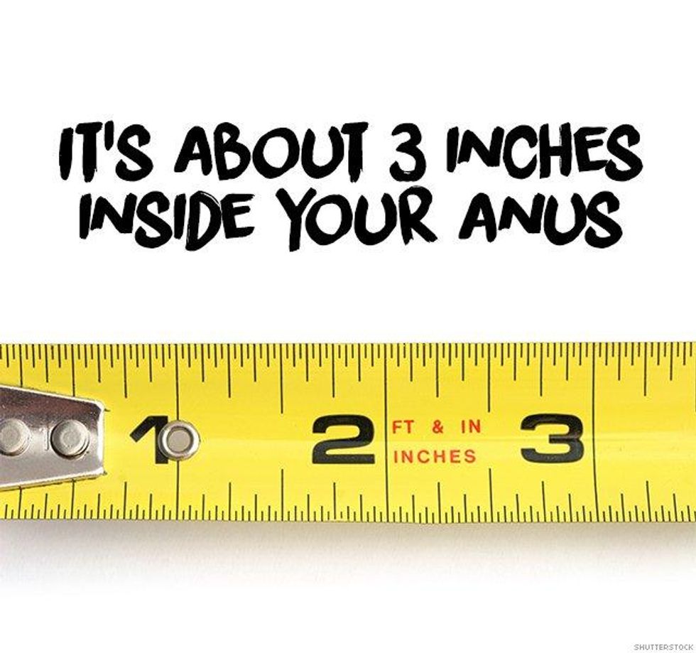 1. It\u2019s about 3 inches inside your anus