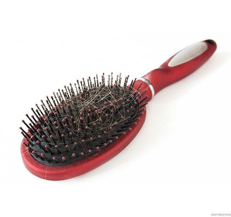 1. No longer shedding all over the place