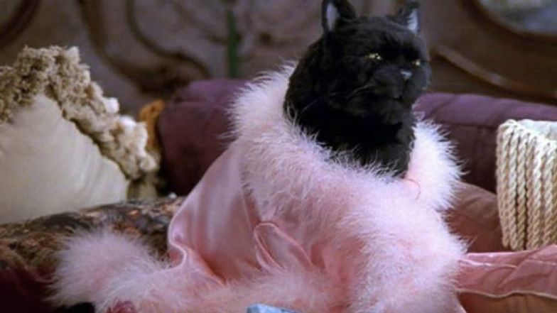9 Fictional Cats That Are Fabulous Gay Icons