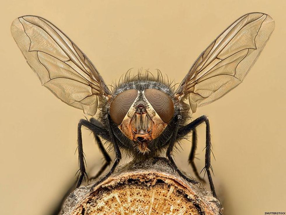 106 Annoying Things Only Gay/Bi Men Understand