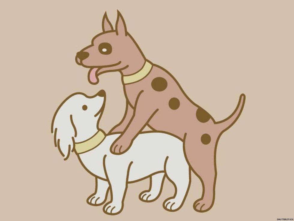 11 Things All Bottoms Want Tops to Understand