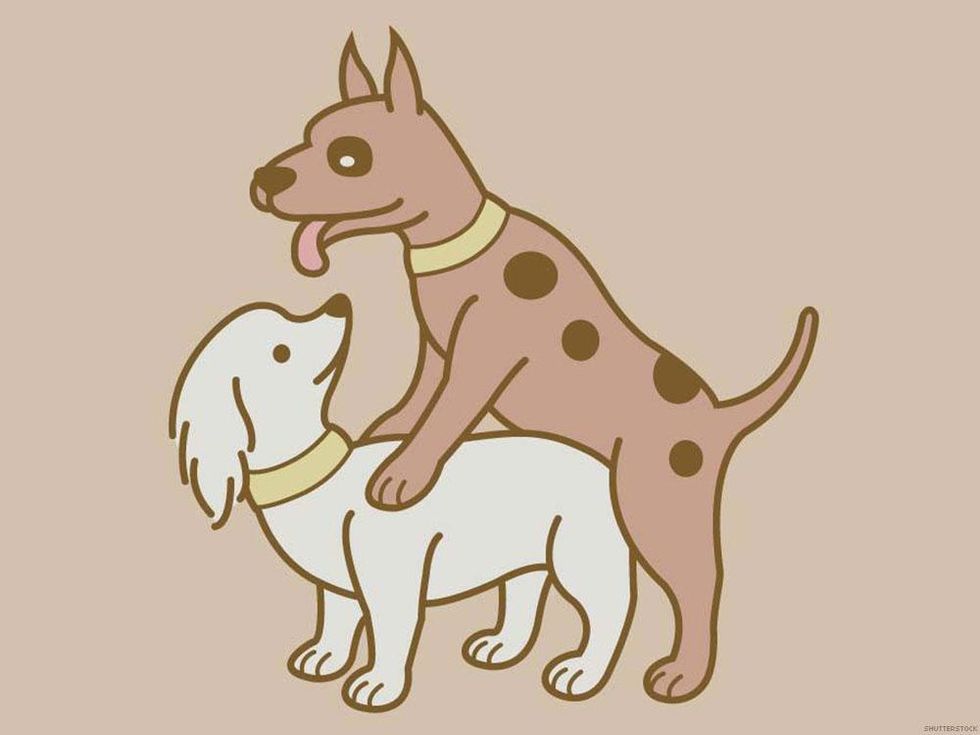 16 Tips for Lazy-Ass Tops