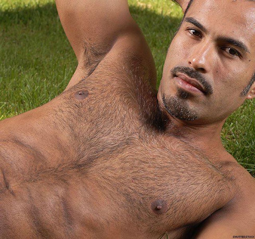 2. Many gay men love a furry man