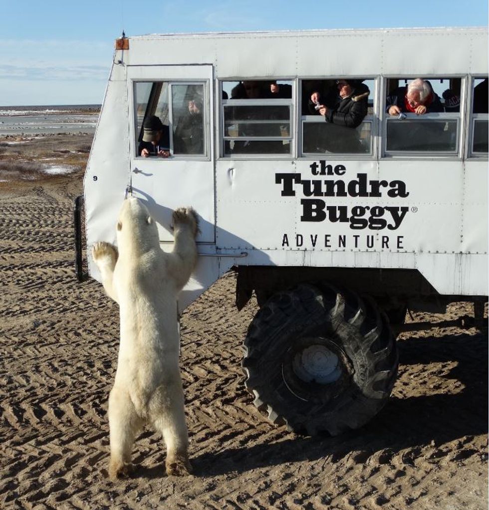 3 Credit Emma Acorn Copy 0