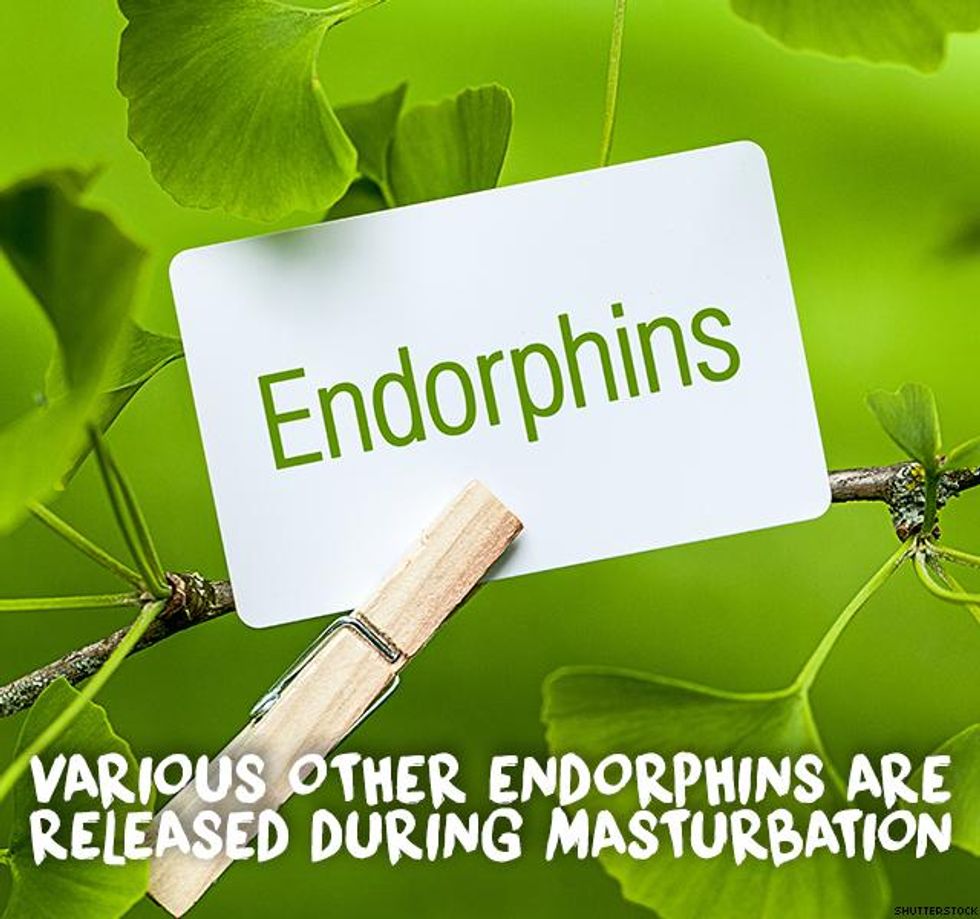 3. Various other endorphins are released during masturbation