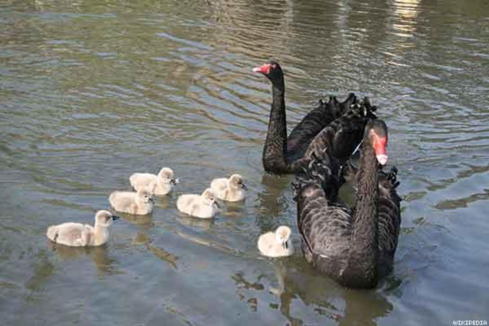 5. Black Swans
