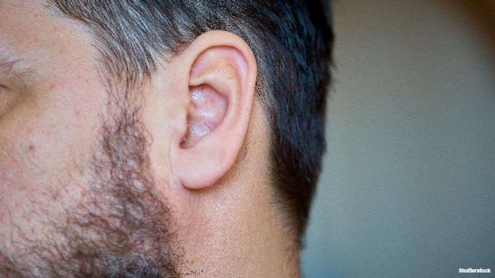 5. Ear lobe