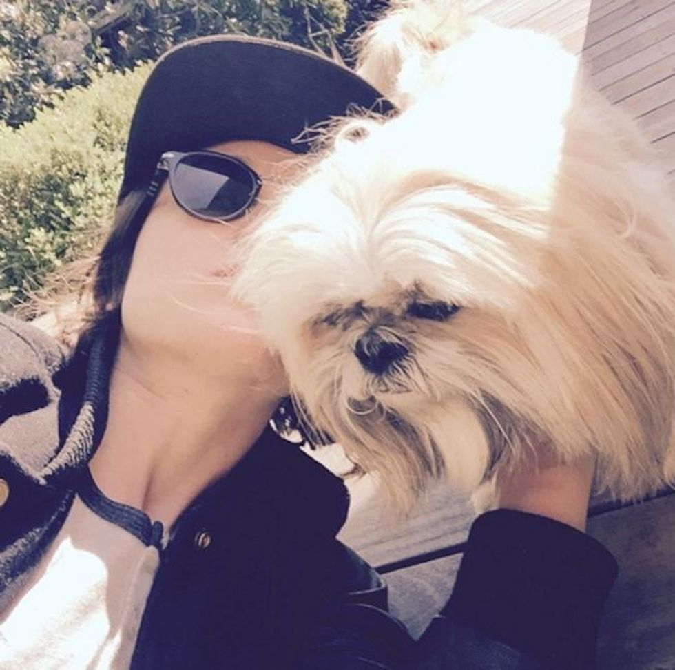 6. Sunlit Snuggles with this Fluffball