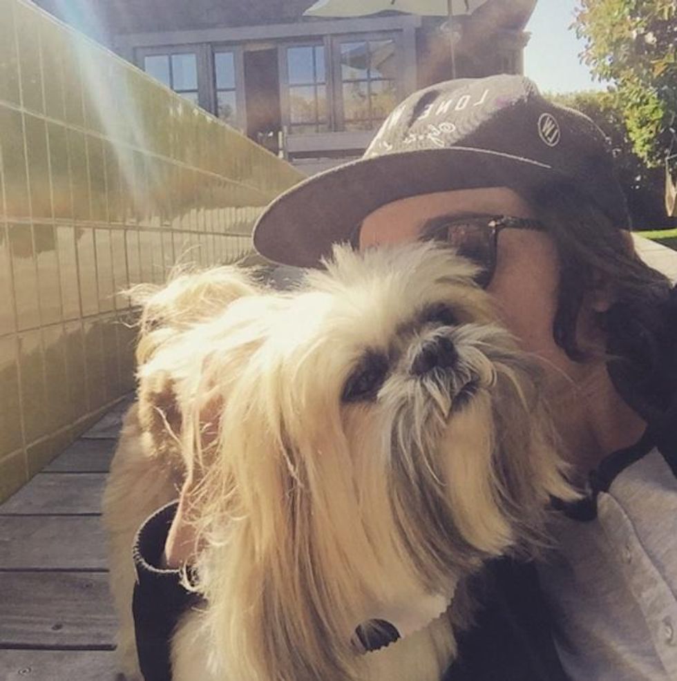 6. Sunlit Snuggles with this Fluffball