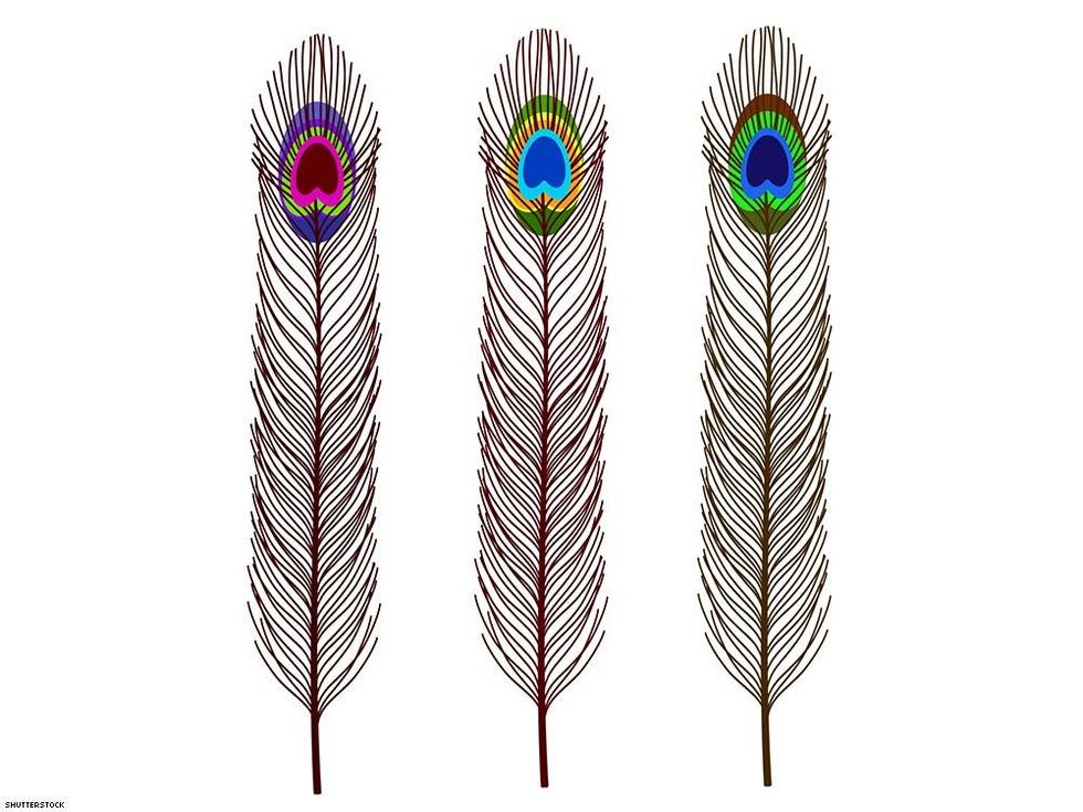 9. But also peacock with one item