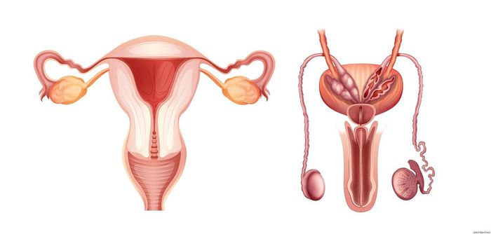 9 Different Relationship Formats