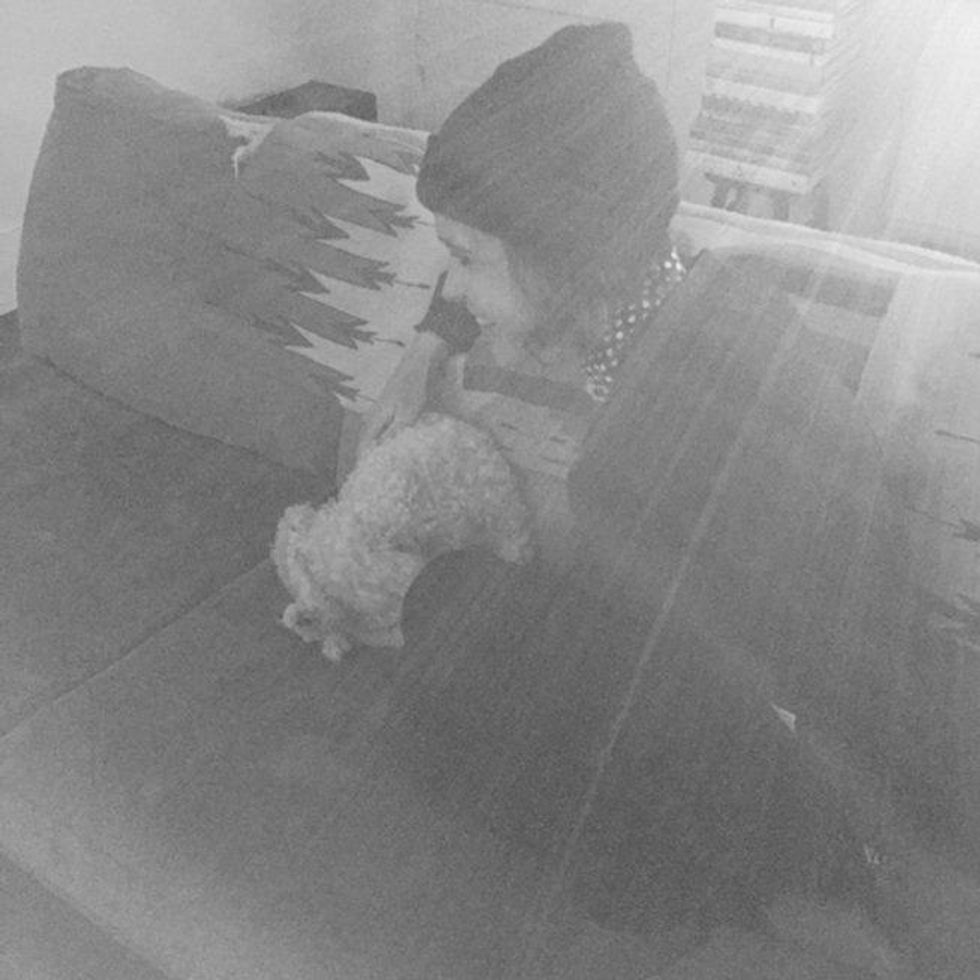 9. Natural Lighting Puppy Snuggles