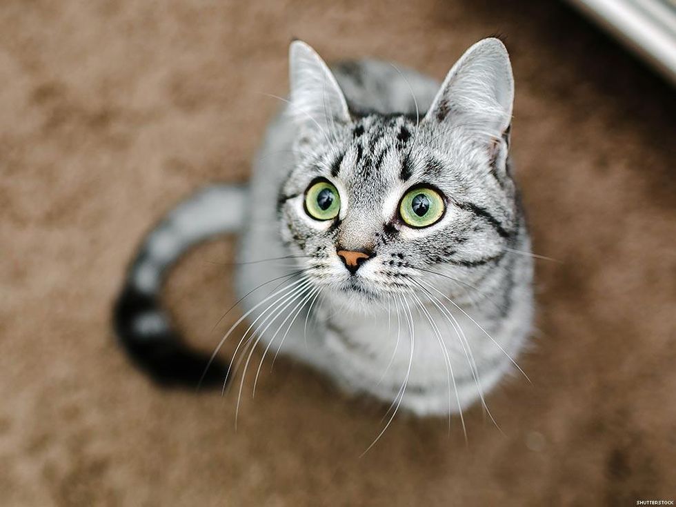 9 Real Differences Between Drag and Drag Race Fans