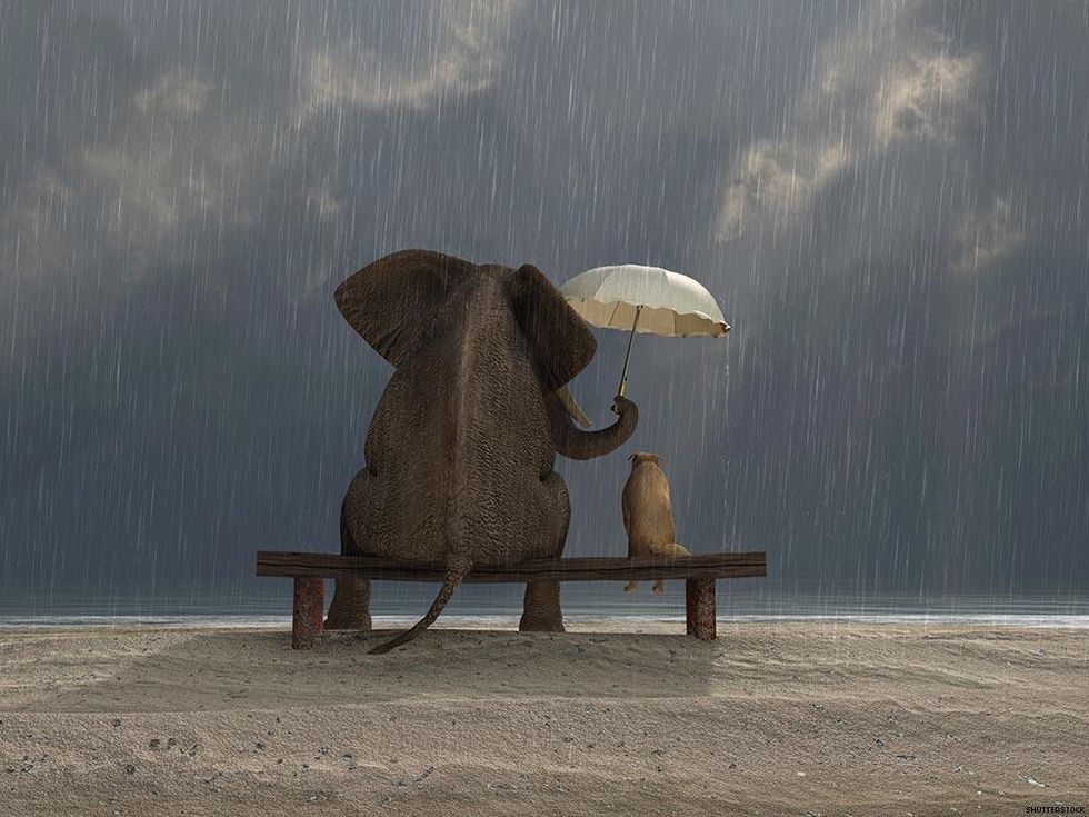 9 Real Differences Between Drag and Drag Race Fans