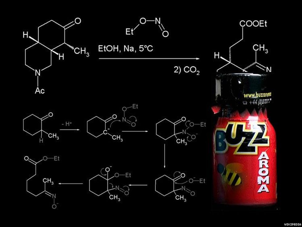 9 Real Differences Between Drag and Drag Race Fans