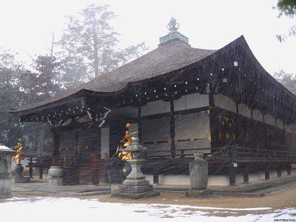 9 Real Differences Between Drag and Drag Race Fans