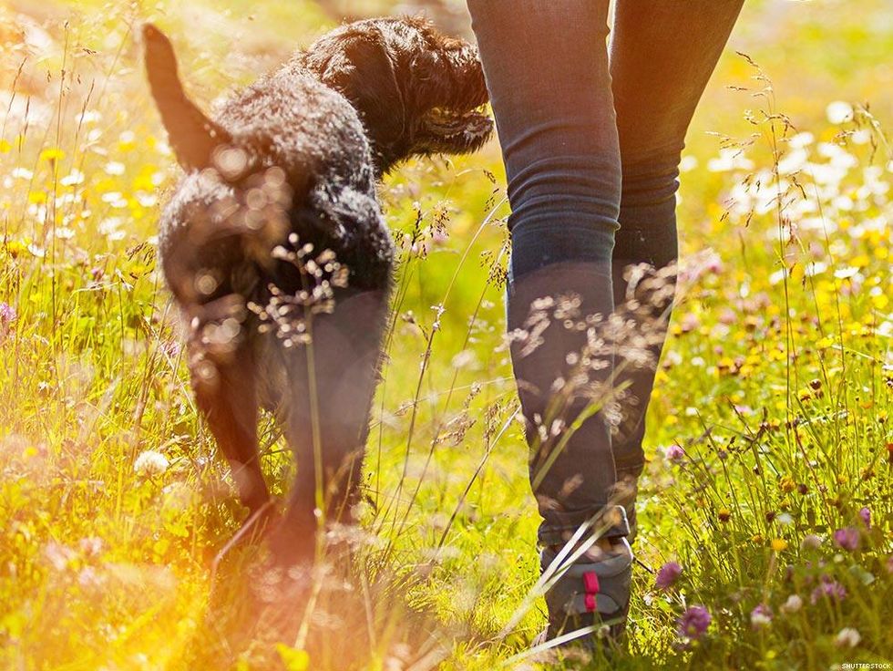 9 Reasons Your Next Boyfriend Needs to be a Dog Owner