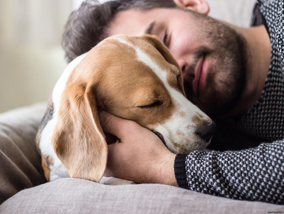 9 Reasons Your Next Boyfriend Needs to be a Dog Owner