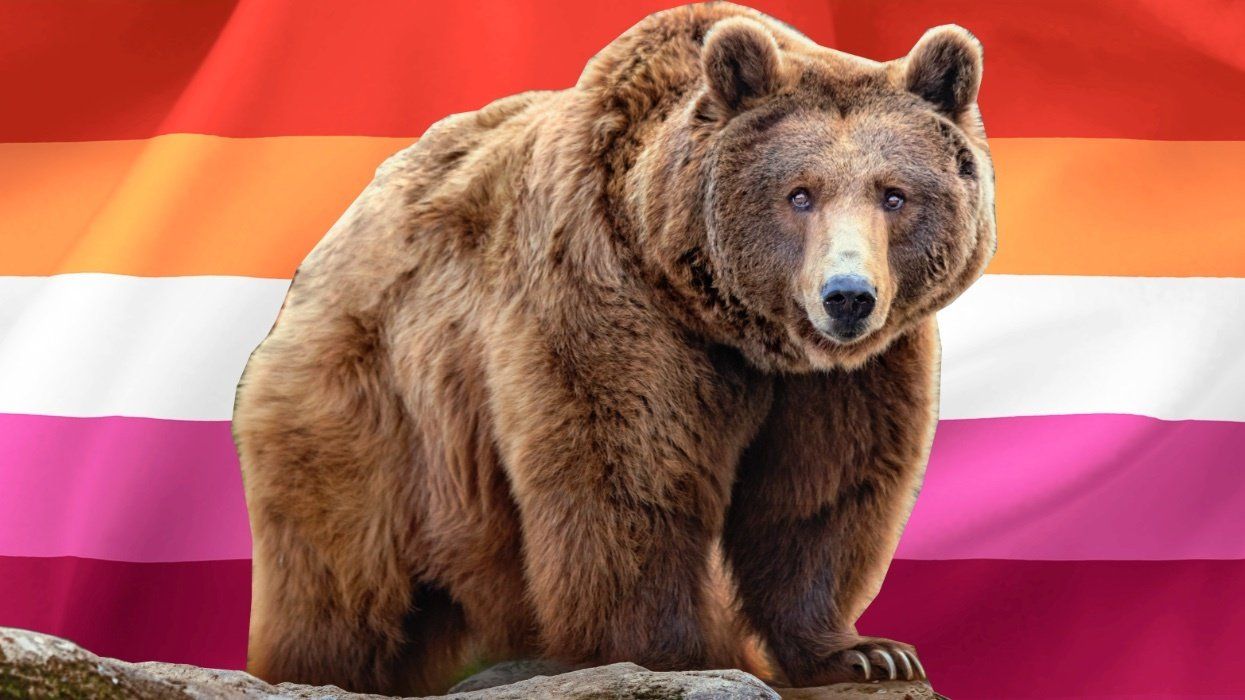 A brown bear in front of the lesbian flag