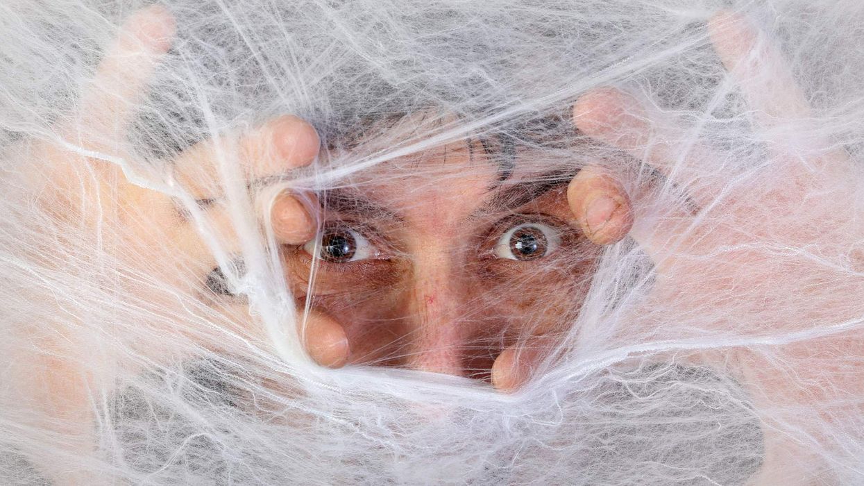 A man trapped in a spider web