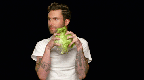 Adam Levine