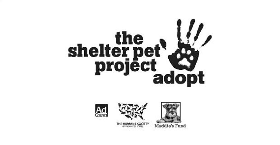 adoption advocacy
