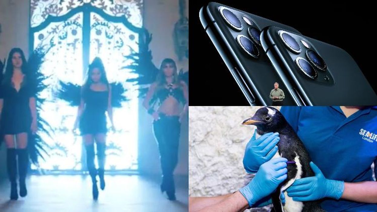 Ari, Miley, Lana, Scary iPhones, & a Genderless Penguin: Morning Tea