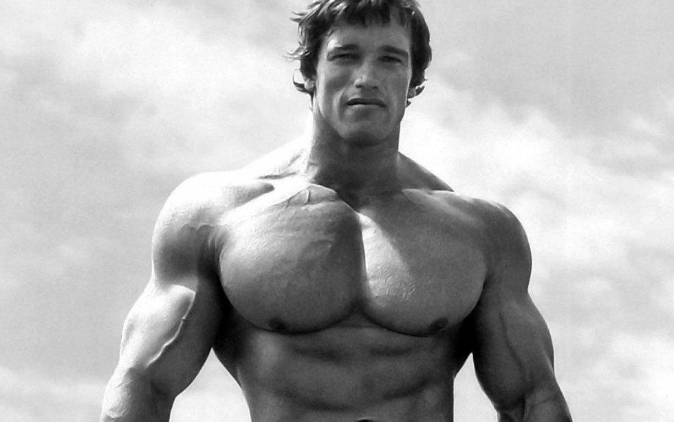 Arnold pic