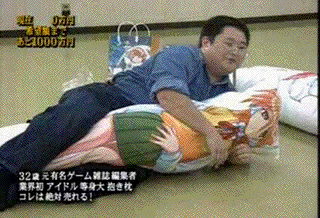 Body Pillow Hump Gif