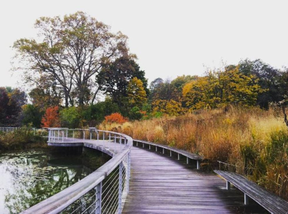 Brooklyn Botanical Gardens