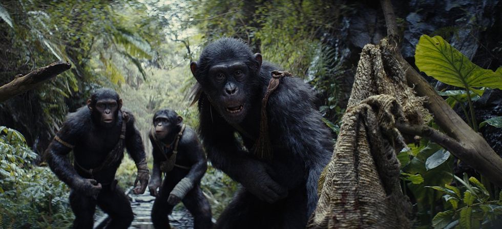 Caption\t(L-R): Noa (played by Owen Teague), Soona (played by Lydia Peckham), and Anaya (played by Travis Jeffery) in 20th Century Studios' KINGDOM OF THE PLANET OF THE APES