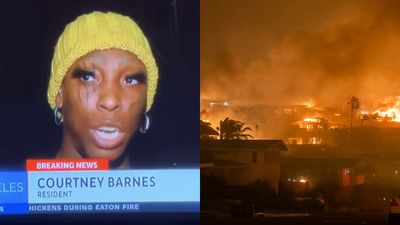 LA fires get a 'meme queen' as resident goes viral