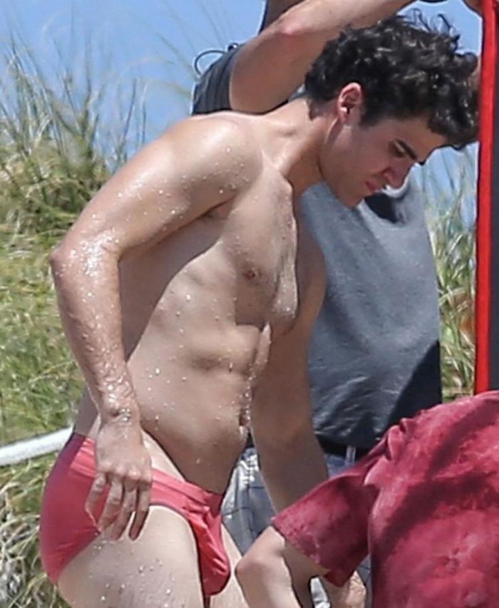 Darren Criss (Raymond Ansley)