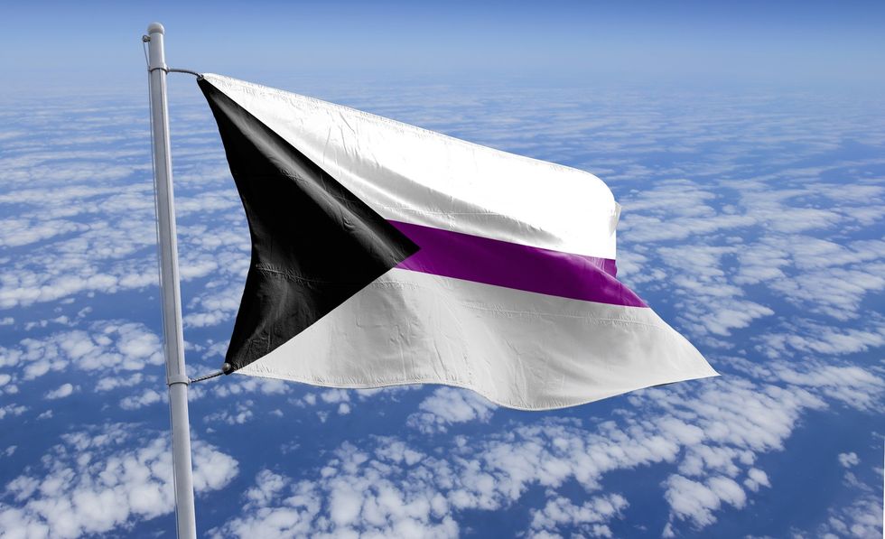 demisexual flag