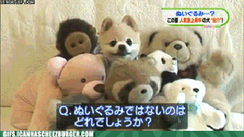 Dog hiding in Stuffed Animal gif