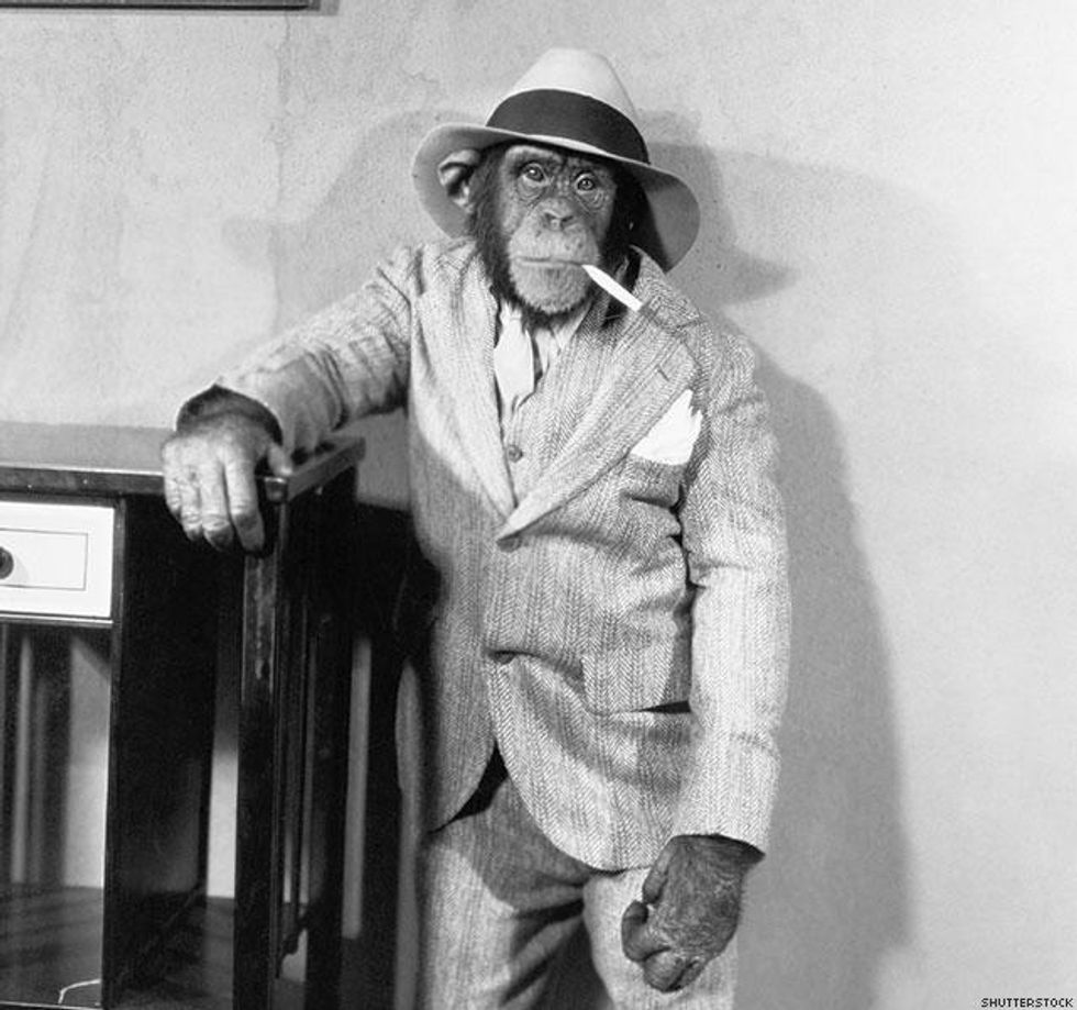 fedora