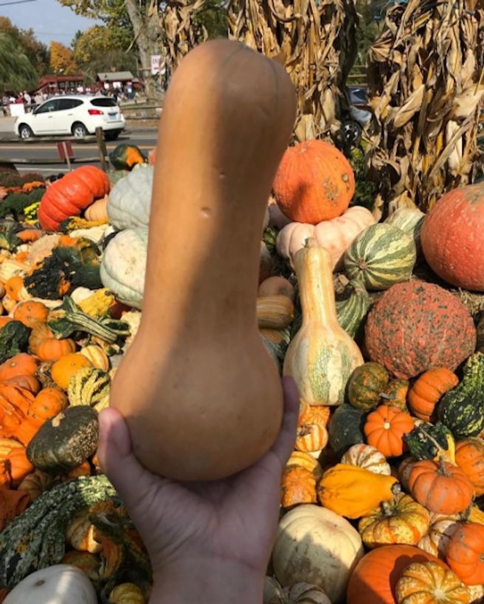 Gourds of Instagram