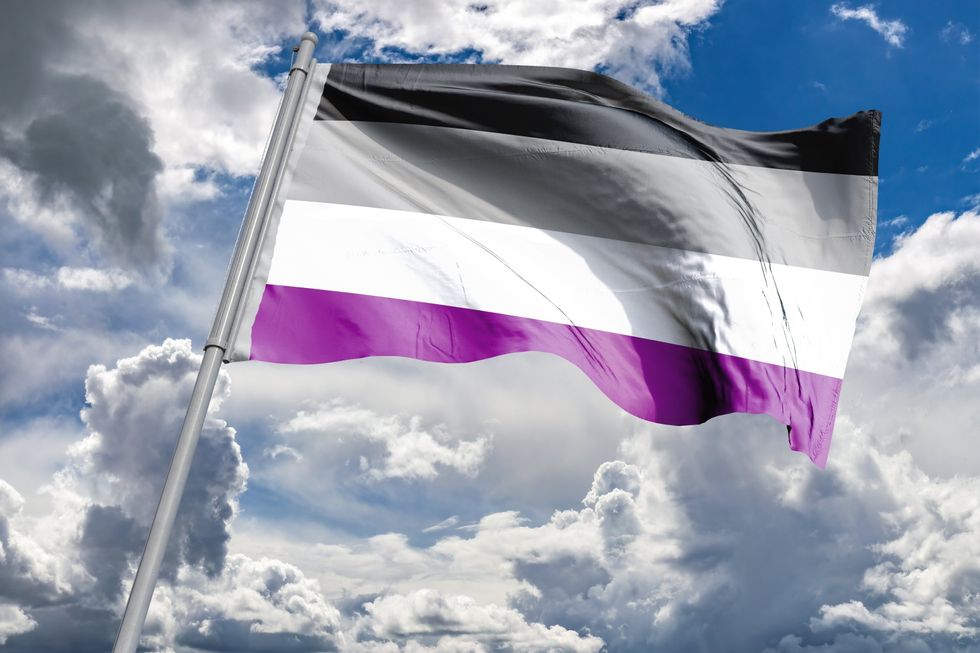 graysexual flag