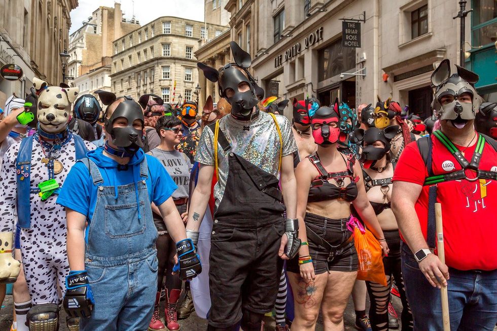 group of pups at pride