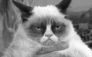 GrumpyCat