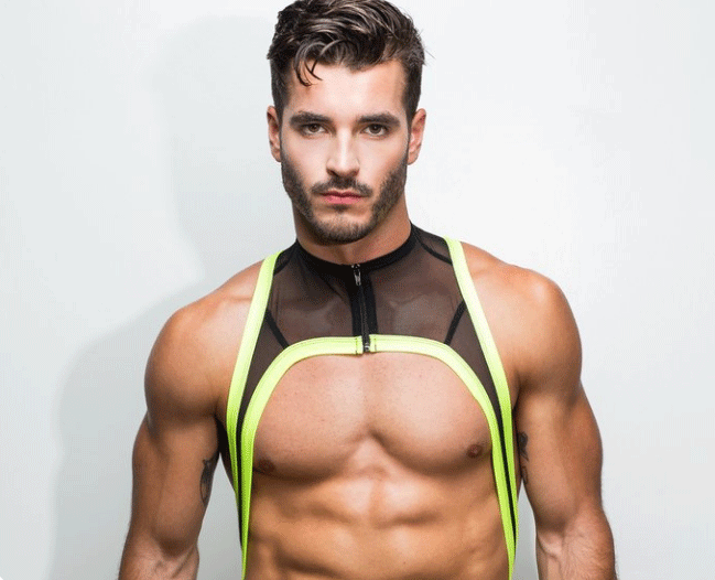 Harness14
