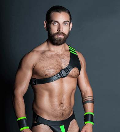 Harness2