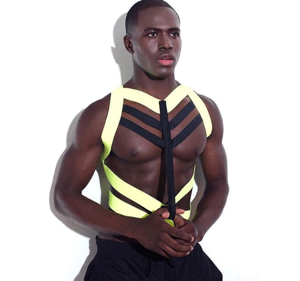 Harness4