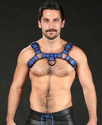 Harness5
