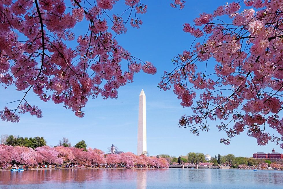 Here are the 15 gayest cities in the world for U.S. travelers. 6. Washington D.C. \u2013 USA