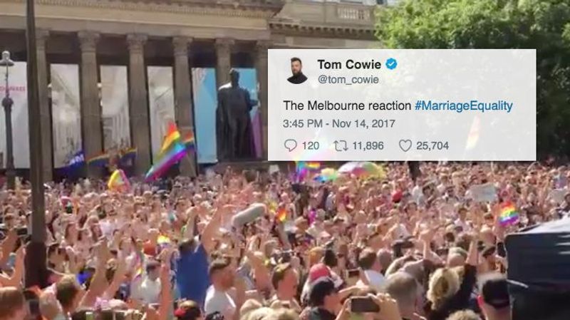 10 Best Reactions to Marriage Equality Passing in Australia