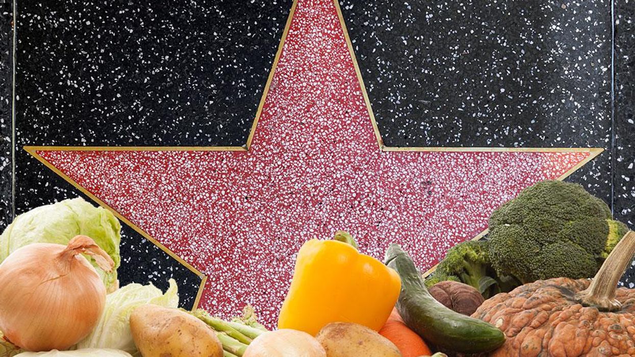 <p>These 7 Vegan Breakfast Foods Are Tasty AND Help Animals</p>