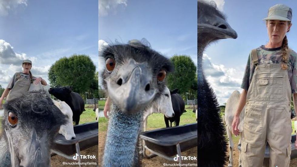 Lesbian Farmer's Emu Steals the Scene in Hysterical Viral TikToks