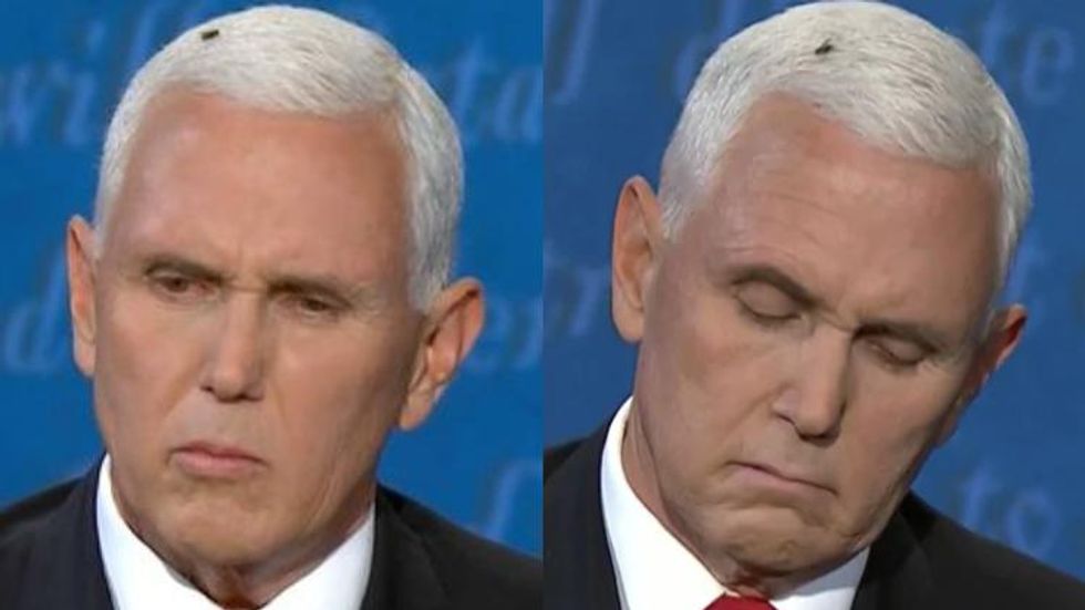 Everyone's Talking About That Fly That Landed on Mike Pence's Hair