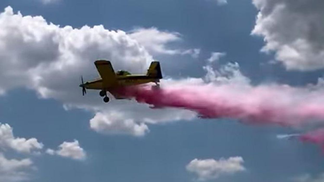 <p>Texas Plane Crash Is the Latest Gender Reveal Party Disaster</p>